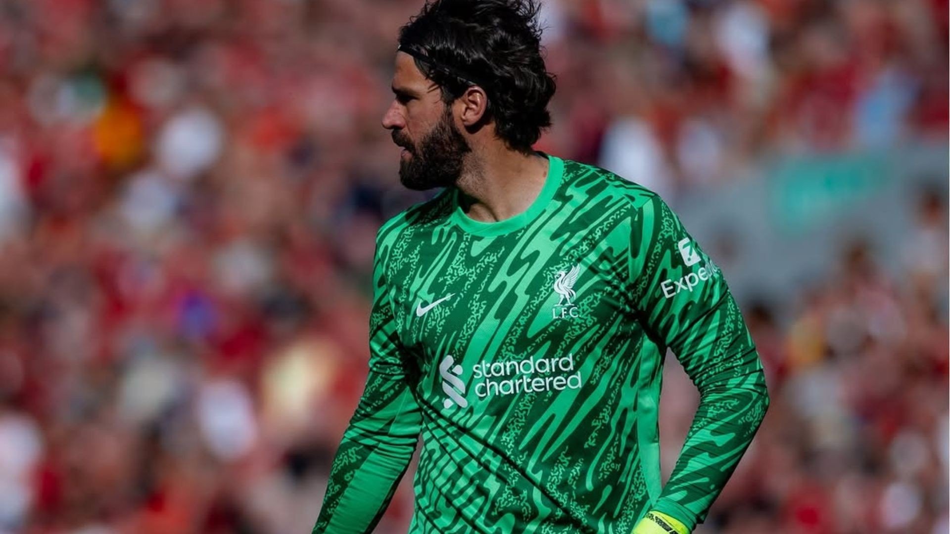 Transmissão Newscastle x Liverpool ao vivo, online e grátis: veja onde assistir
