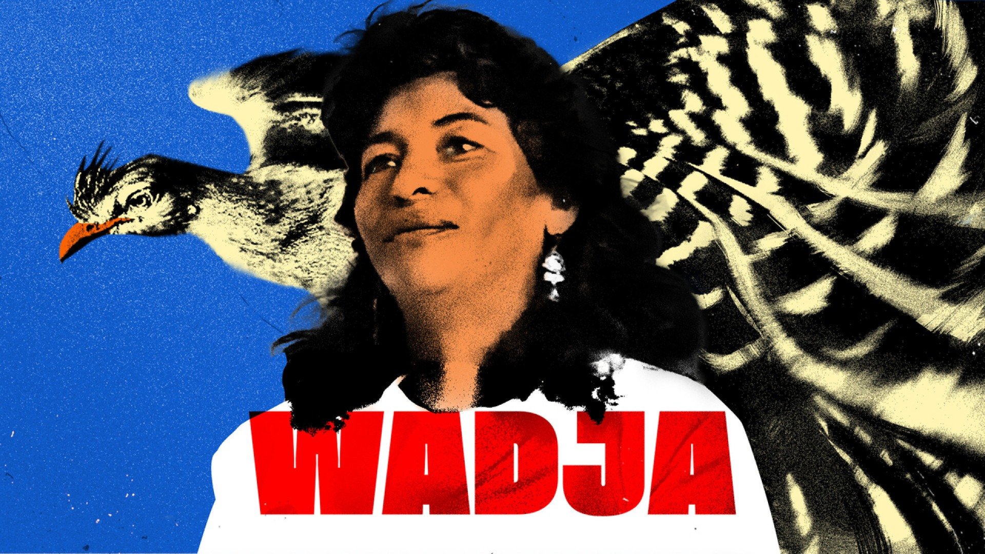 Foto da capa: Cultura