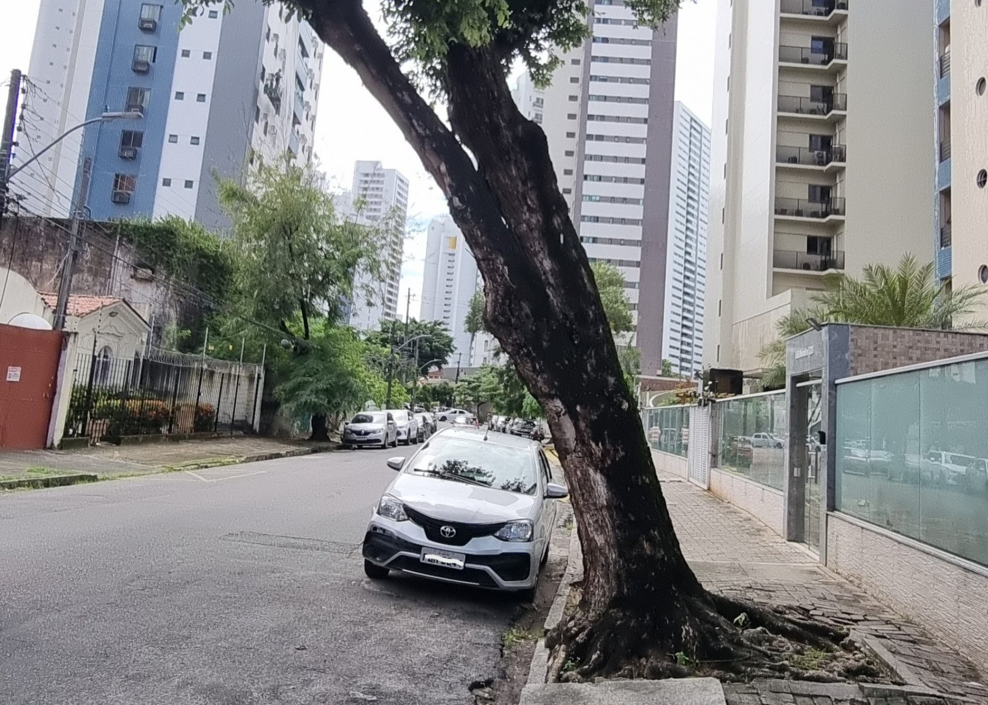 Foto da capa: Voz do Leitor