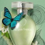 5 perfumes clássicos de O Boticário que ainda estão a venda