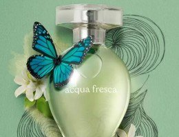 4 perfumes frescos de O Boticário para usar nos dias mais quentes sem medo