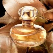 4 perfumes que deixam rastro e são lembrados mesmo depois que você sai