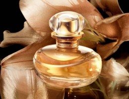 3 perfumes do Boticário ideais para o dia a dia no trabalho