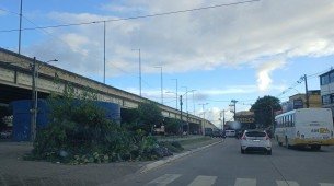 Lixo espalhado em Jaboatão dos Guararapes