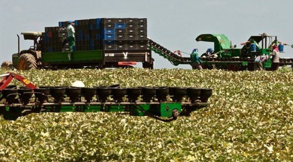 Banco do Nordeste aumenta em 180% crédito em armazenagem rural nos últimos cinco anos