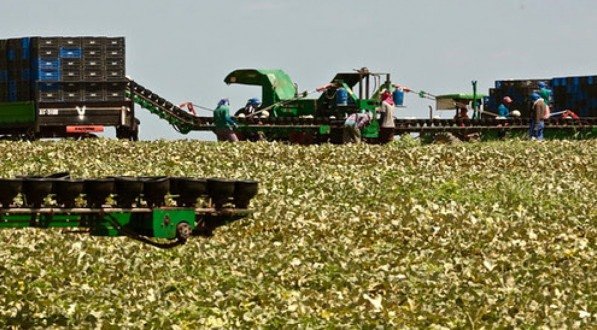 Imagem de maquinario agrícola 