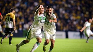 goias
