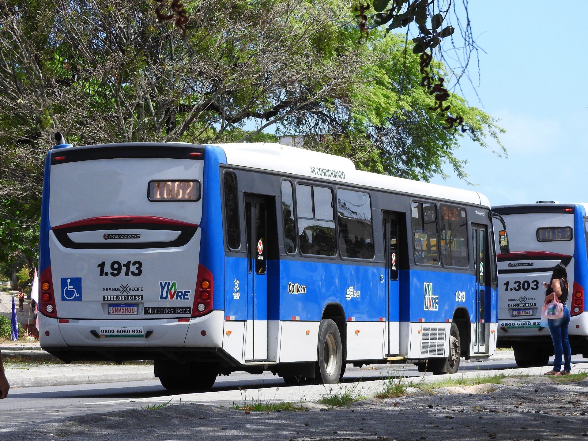 onibus