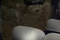 Foto da capa: Blog do Torcedor