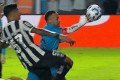 fica ou vai embora?