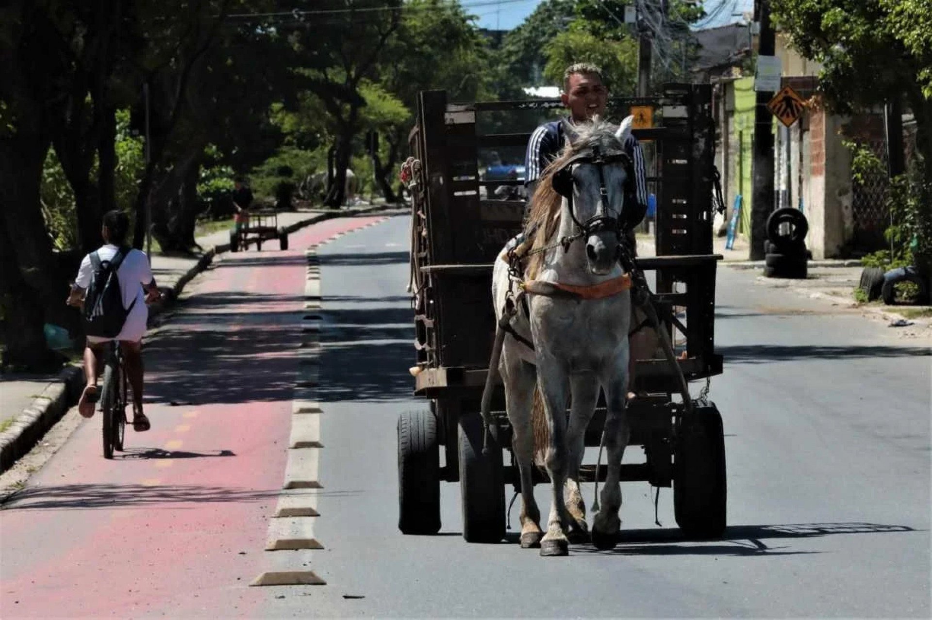 Veículo de tração animal