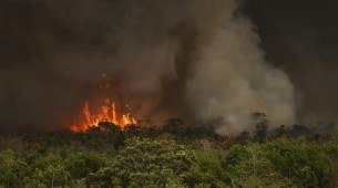 Queimadas fazem desmatamento crescer 92% na Amazônia em maio
