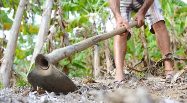 A agricultura familiar é responsável por 70% dos alimentos consumidos no Brasil