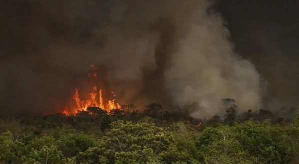 Queimadas fazem desmatamento crescer 92% na Amazônia em maio