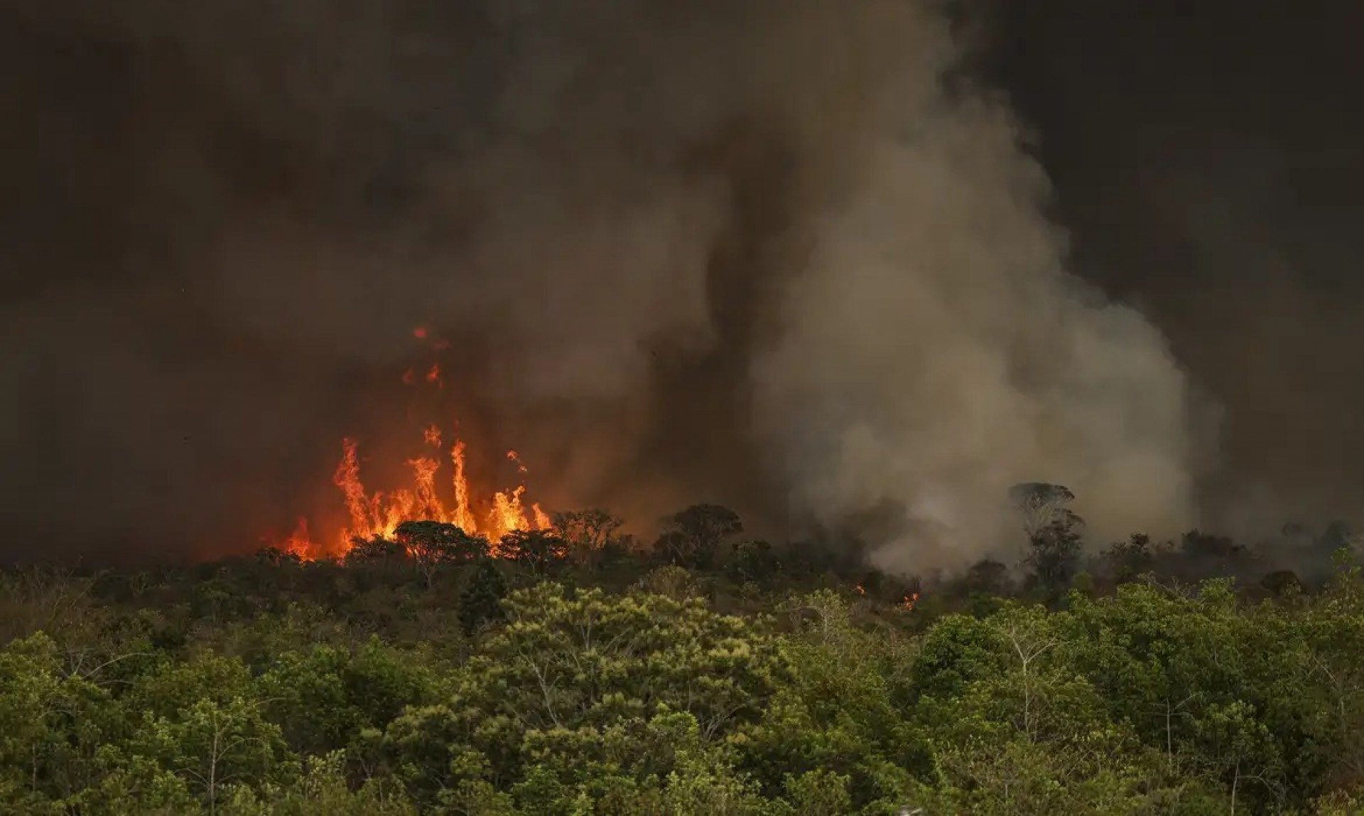 Foto da capa: Brasil