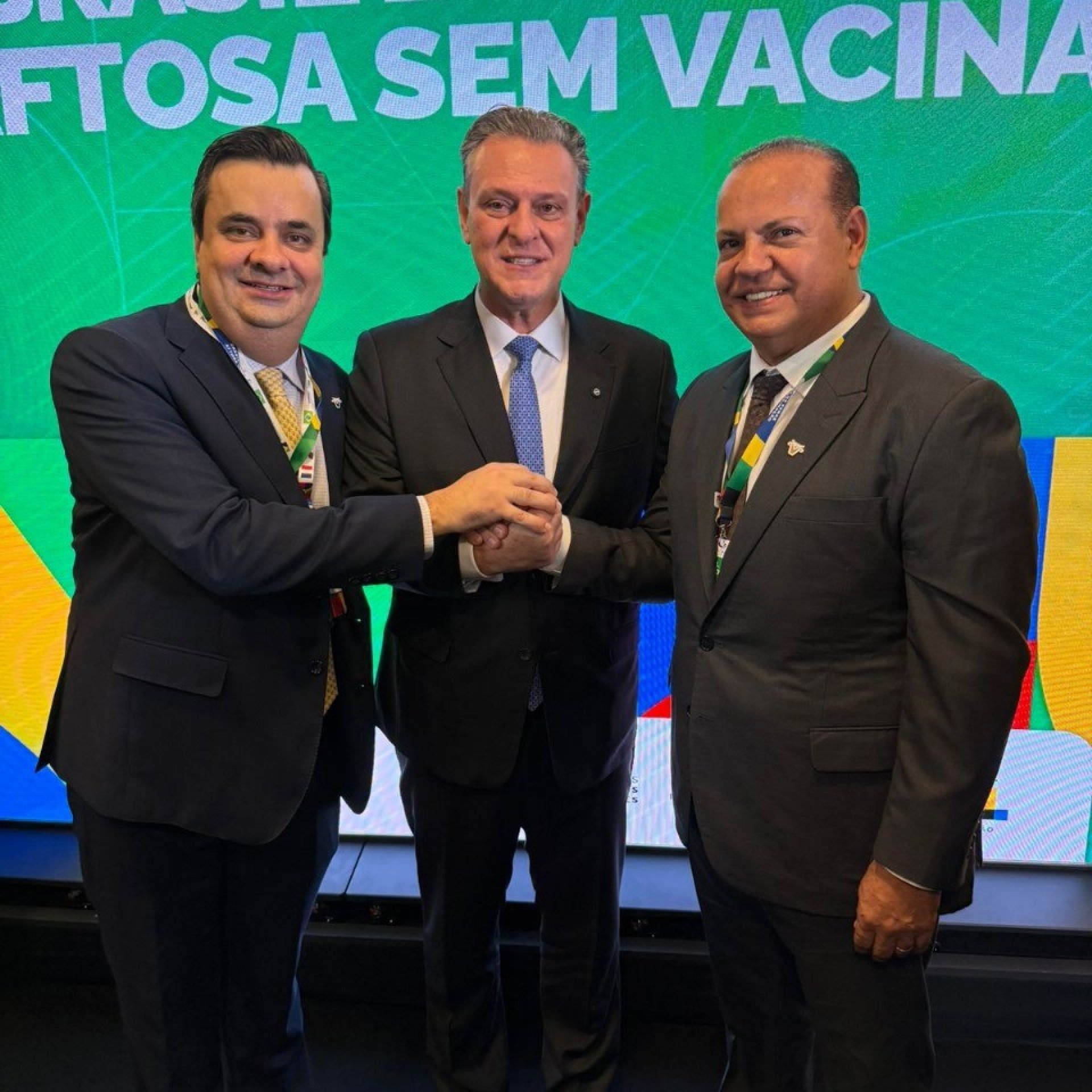 Divulgação