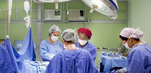 Pernambuco realiza 1,6 mil transplantes e contribui para recorde nacional do SUS em 2024