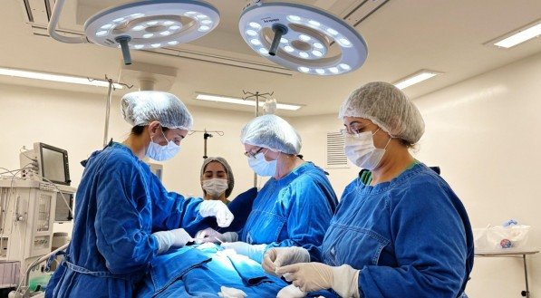 Levantamento nacional da Sociedade Brasileira de Hérnia e Parede Abdominal revela que foram realizadas, no Brasil, 349.968 cirurgias de hérnia da parede abdominal, em 2024, através do SUS