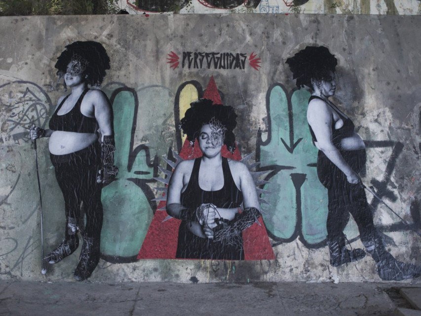 CAMILA SILVA/DIVULGAÇÃO