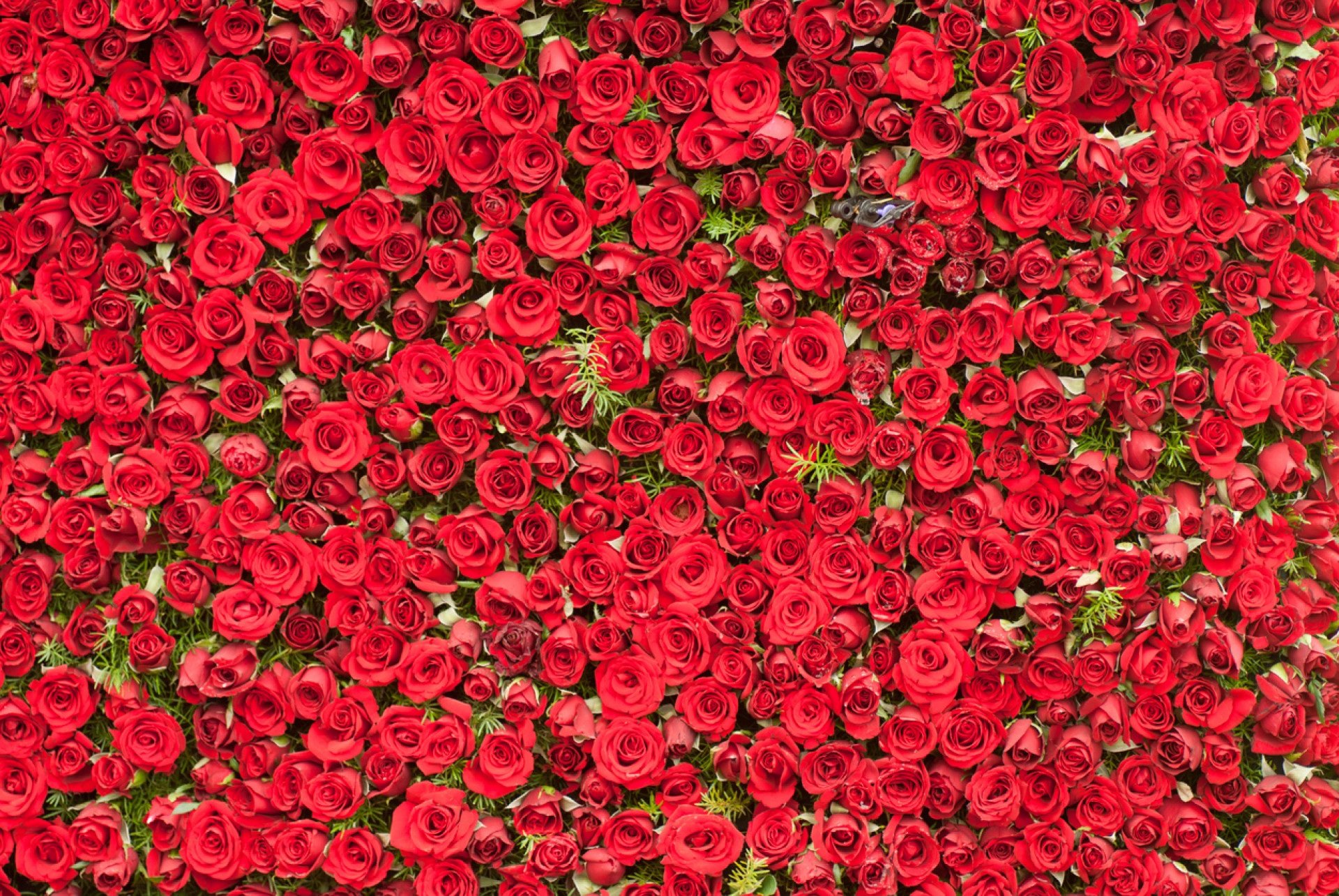 iStock
