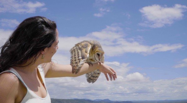 Cinema São Luiz tem programação gratuita do Cine PE neste fim de semana