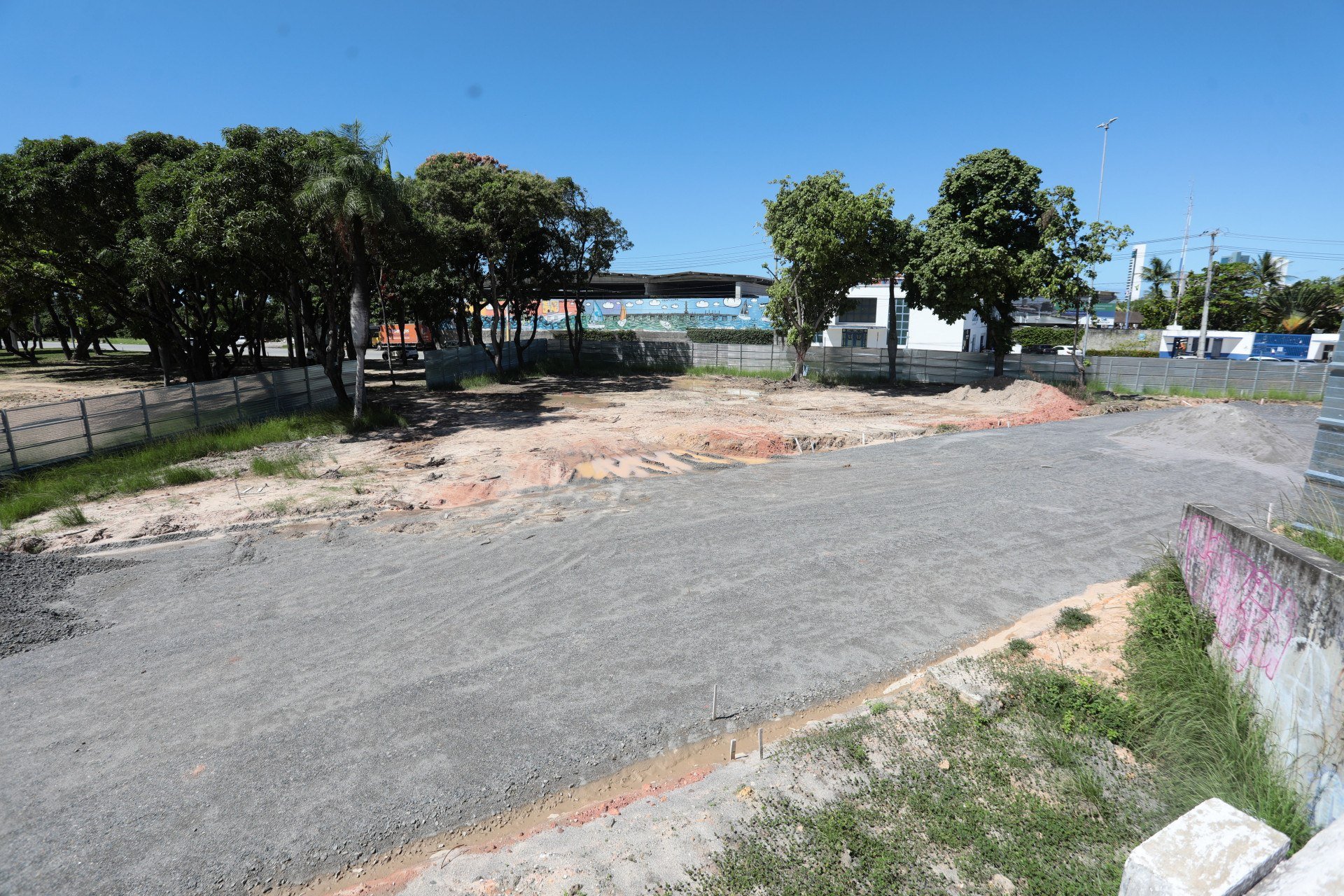 Jailton Júnior/JC Imagem