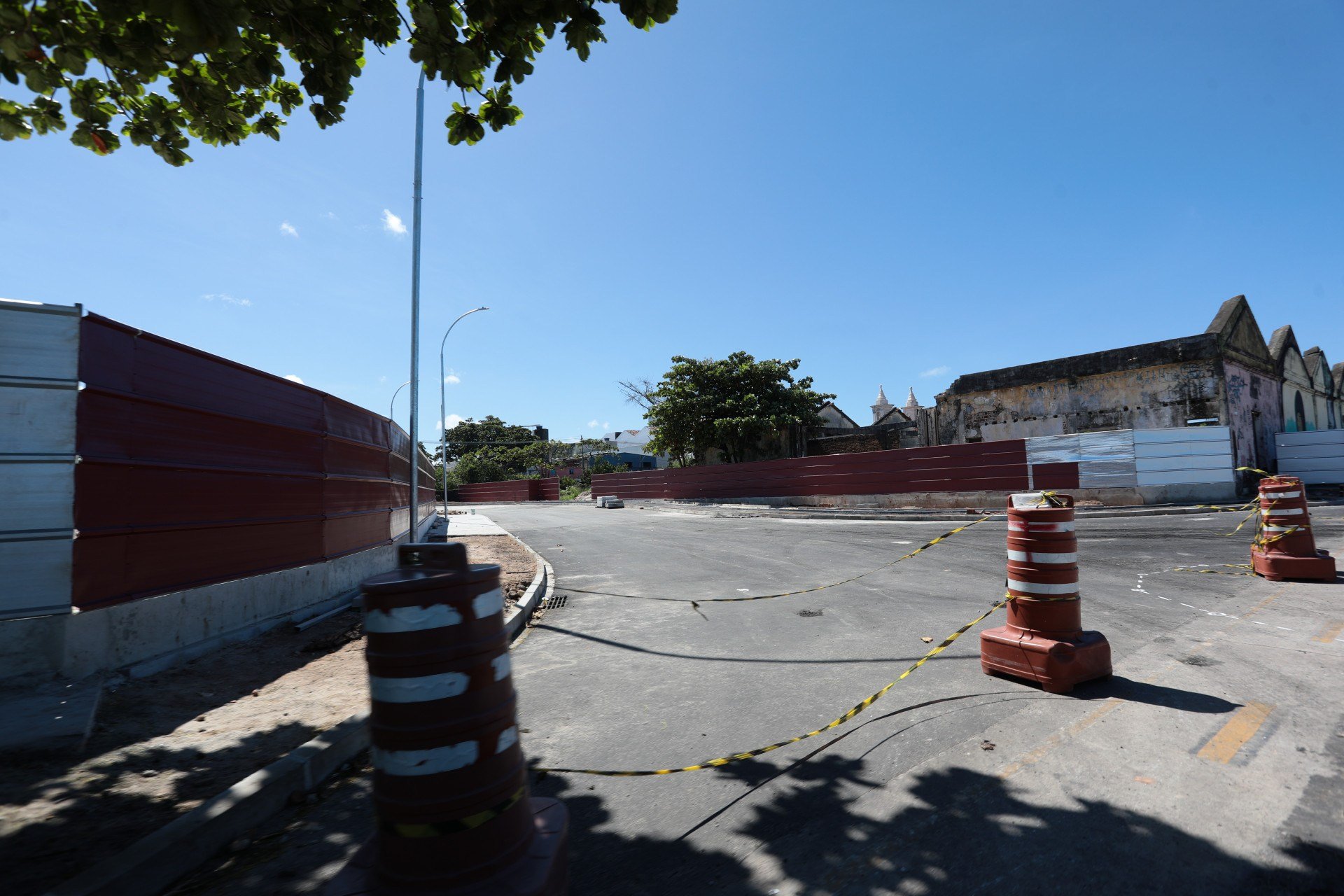 Jailton Júnior/JC Imagem