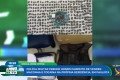 Tráfico de drogas