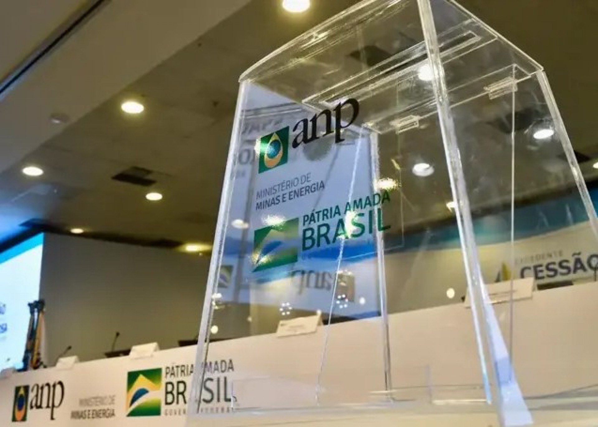 Divulgação