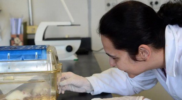 Tecidos feitos em laboratório podem aperfeiçoar testes de medicamentos