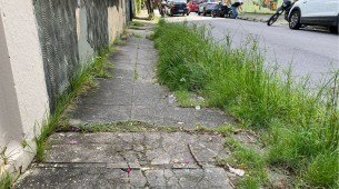 Matagal toma conta de calçada nos Aflitos