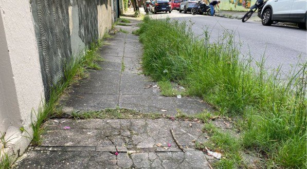 Matagal toma conta de calçada nos Aflitos