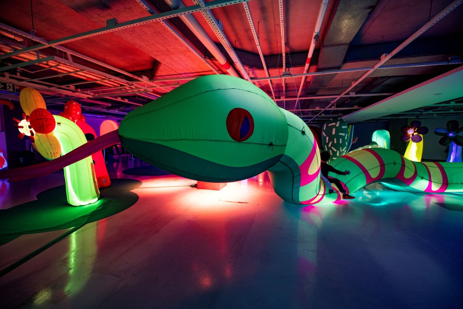 Exposição interativa com infláveis chega ao Recife; conheça a Blow Up