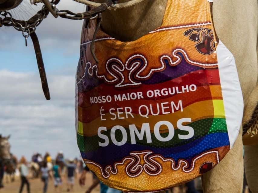 DIVULGAÇÃO