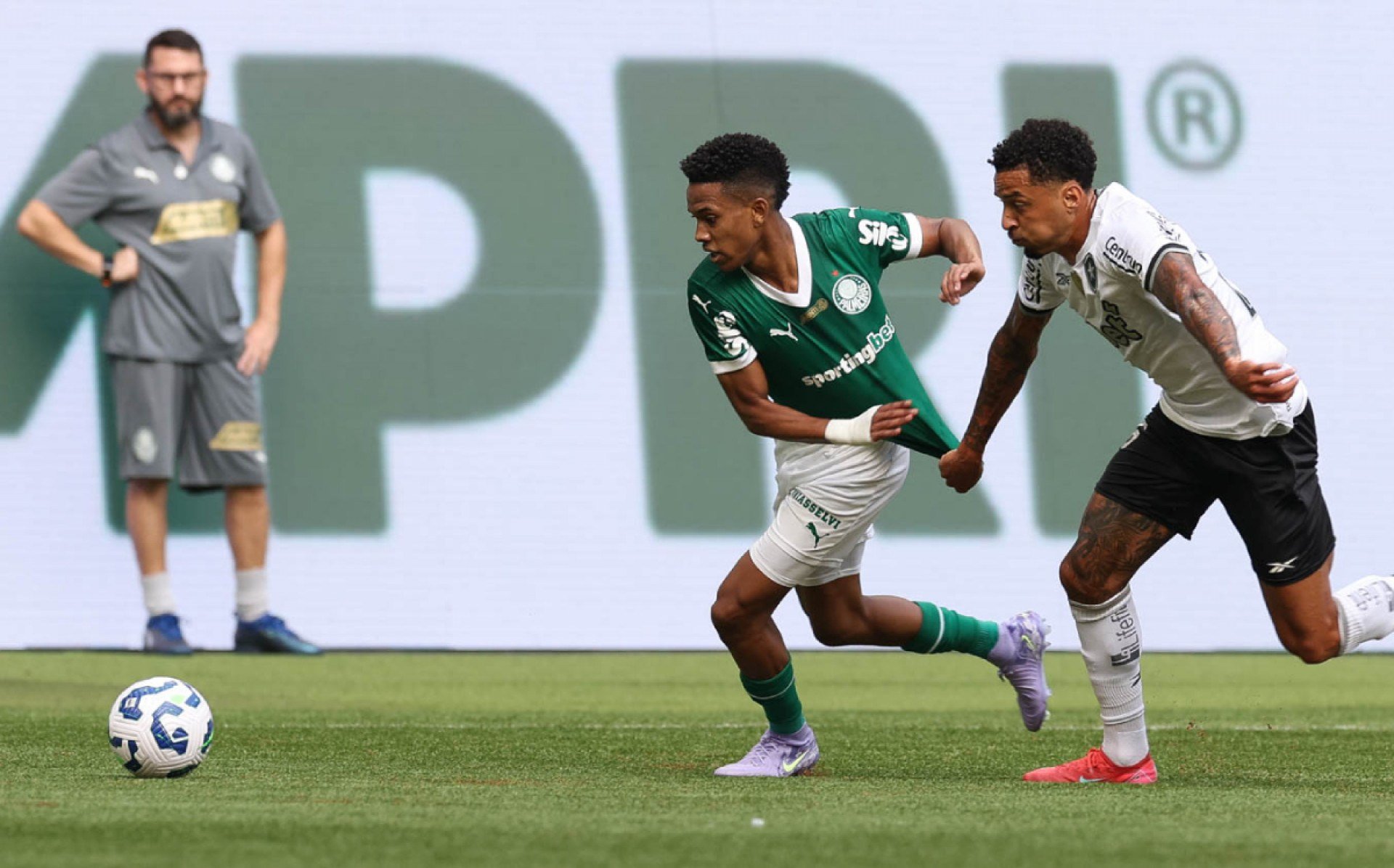 Cesar Greco/Palmeiras