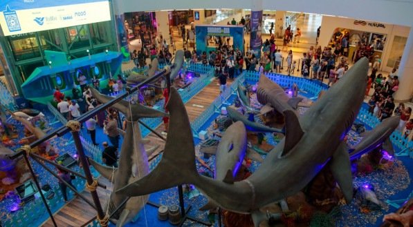 Exposi&ccedil;&atilde;o sobre tubar&otilde;es &eacute; gratuita no RioMar Recife