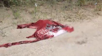 Homem não identificado é encontrado morto com sinais de violência em Igarassu 