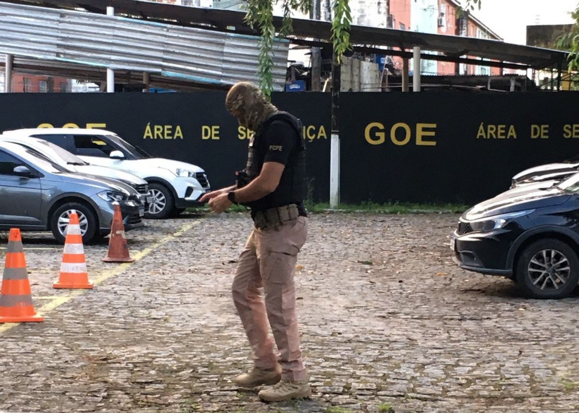 Polícia Civil cumpre mandados da operação "Ovos de Ouro" no Grande Recife
