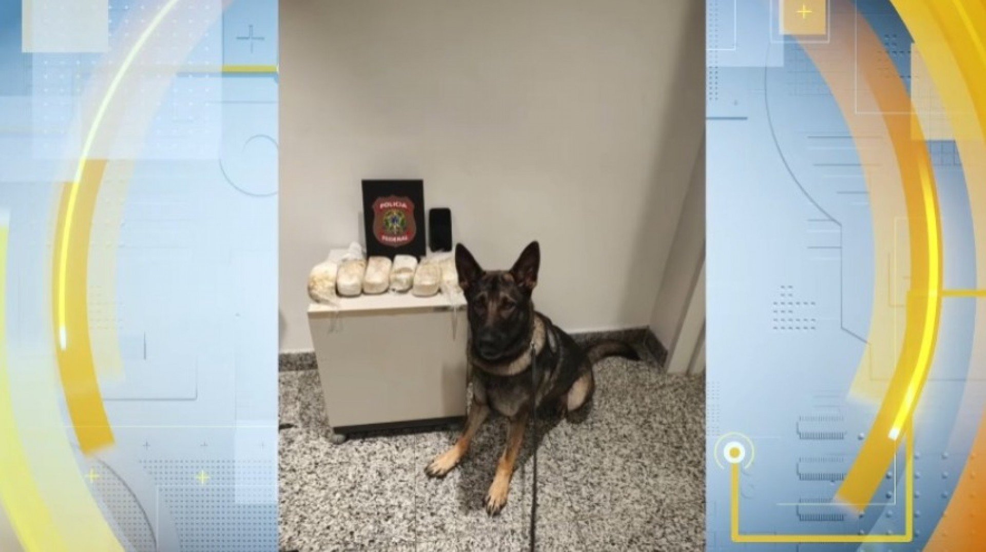 Passageiro é preso por tráfico de drogas no Aeroporto do Recife