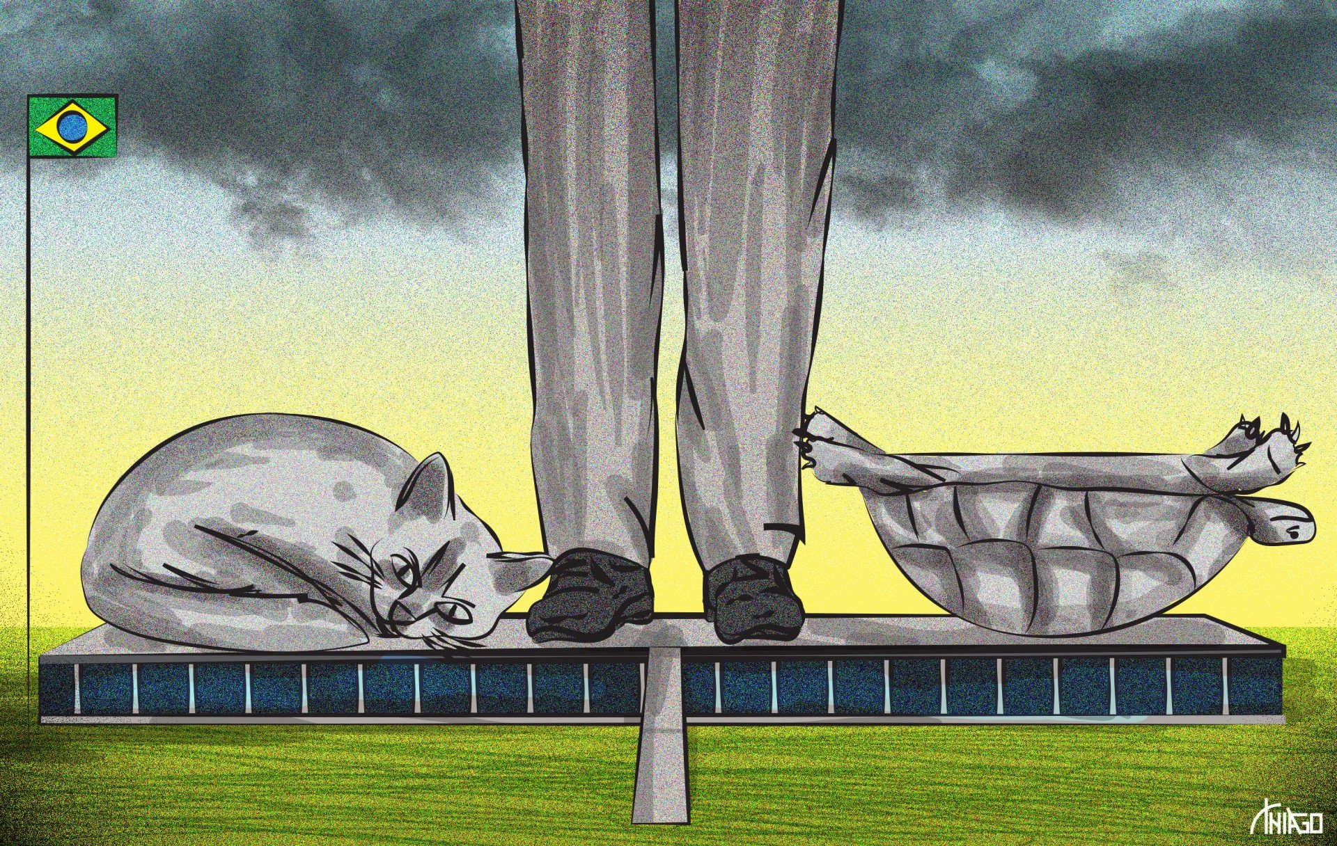 gato