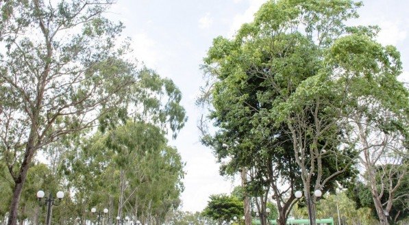 Cidade escondida em Pernambuco traz clima de Europa, vinícola e chocolate em pleno Agreste