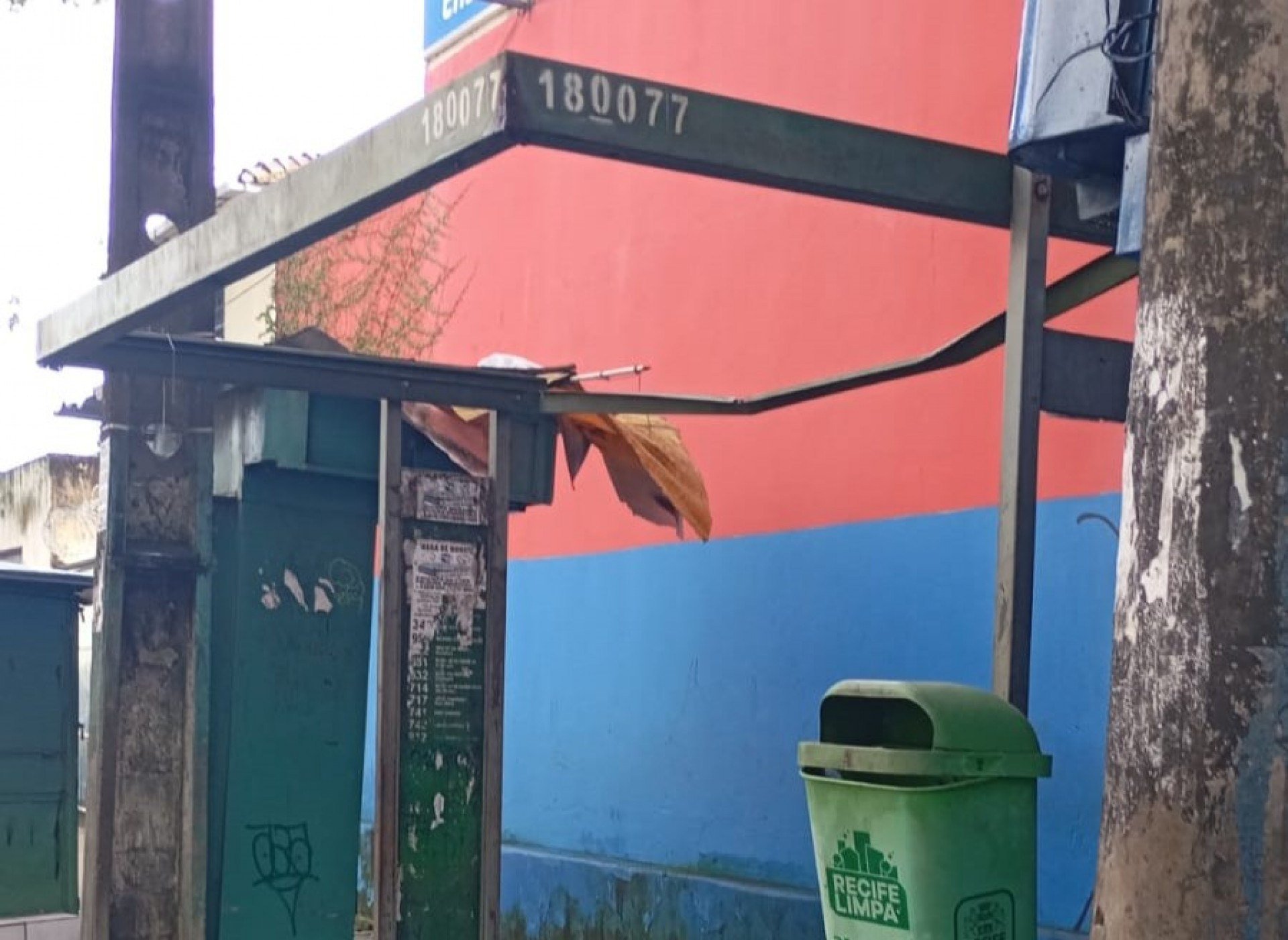 Foto da capa: Voz do Leitor