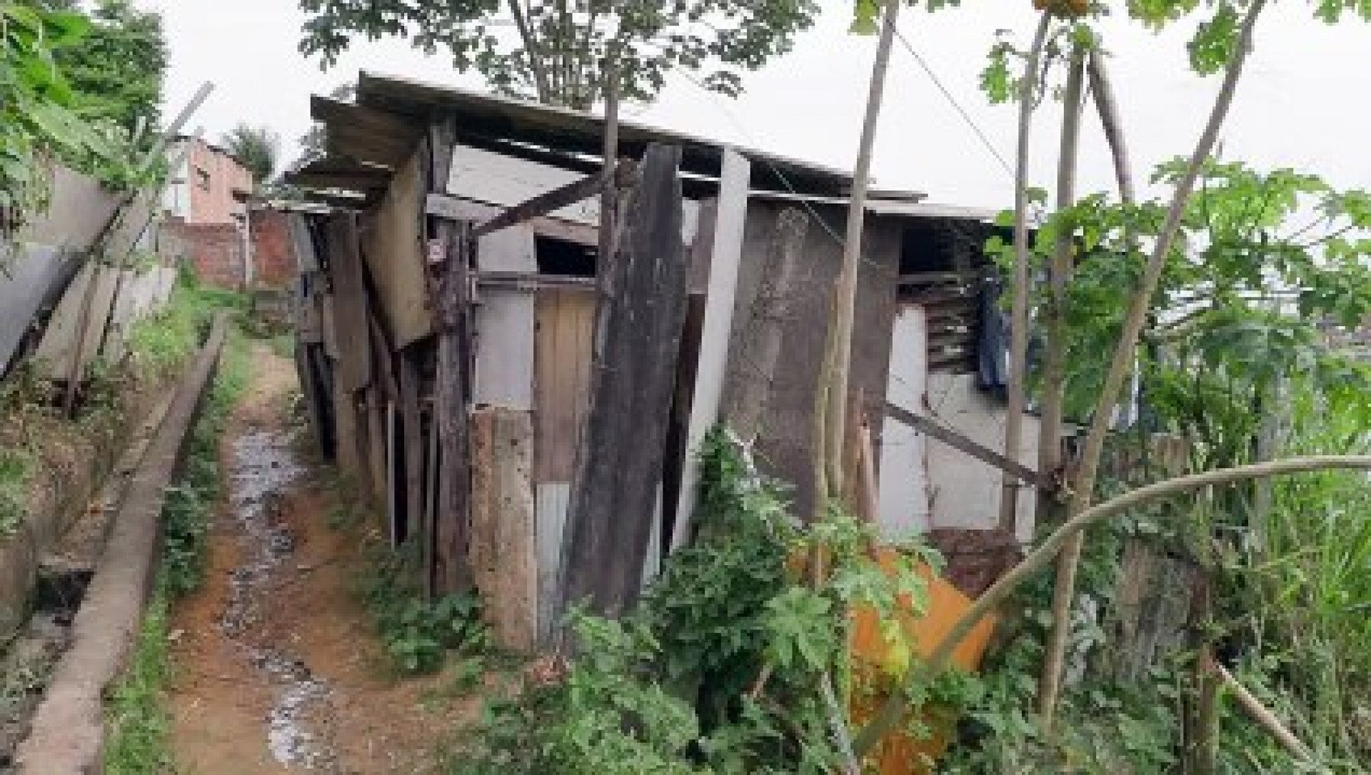 Catador de recicláveis brutalmente atacado em Recife