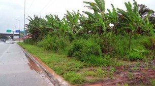 Estudante de enfermagem e motorista de aplicativo escapa de tentativa de assalto violento em BR-408: uma luta pela sobrevivência