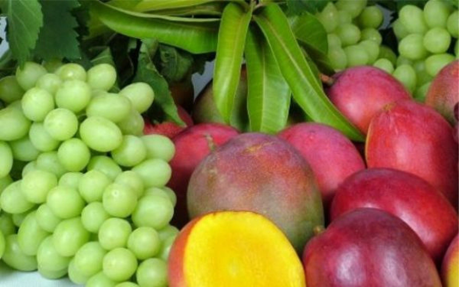 Vale do São Francisco responde por 92% das mangas E 95% das uvas exportadas pelo Brasil, segundo presidente da Abrafrutas