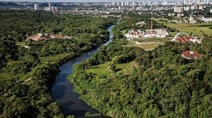 Mata Atlântica pertencente ao Grupo Cornélio Brennand na Várzea.
