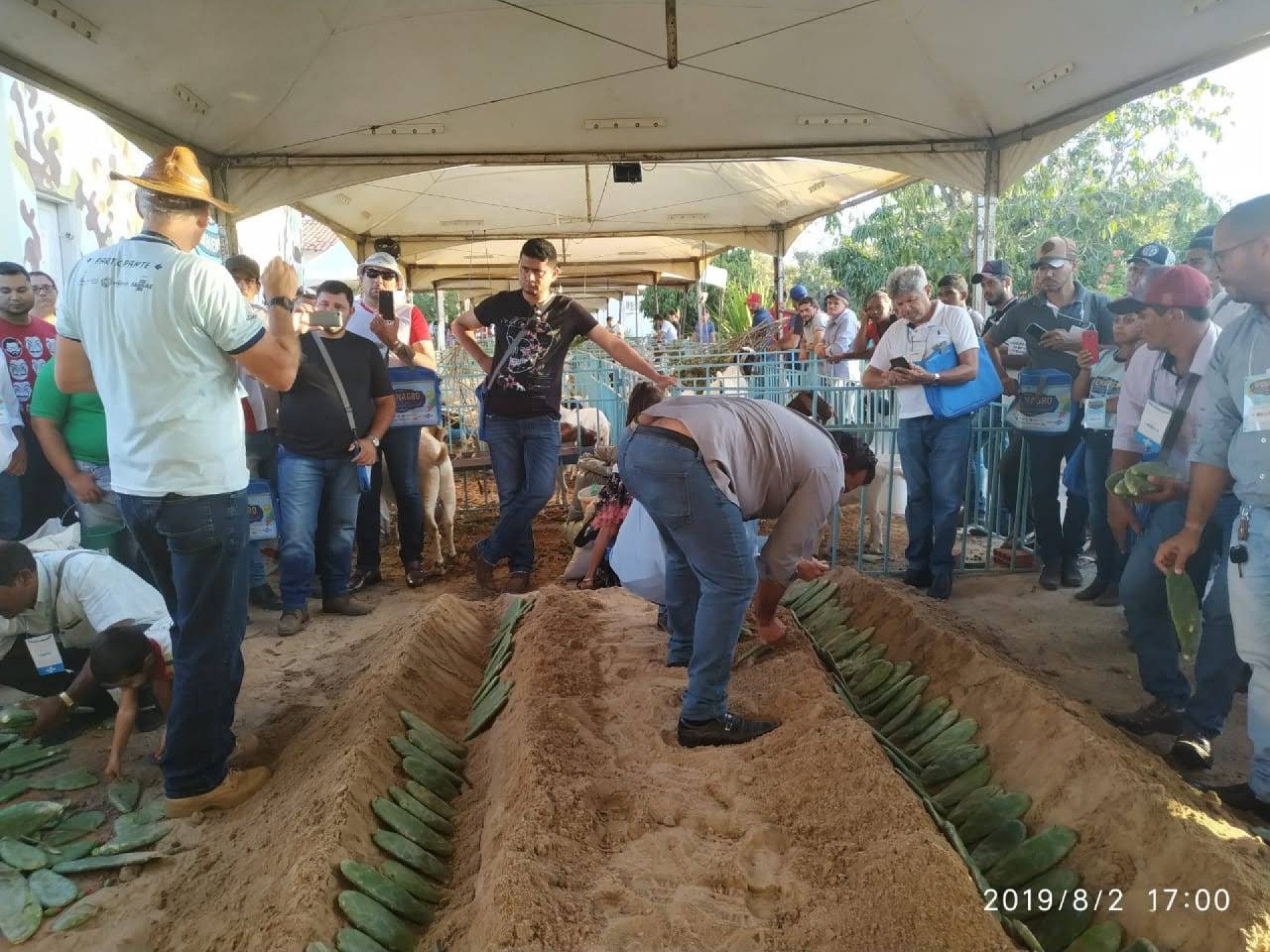 A expectativa é de que cerca de 2 mil pessoas participem do evento