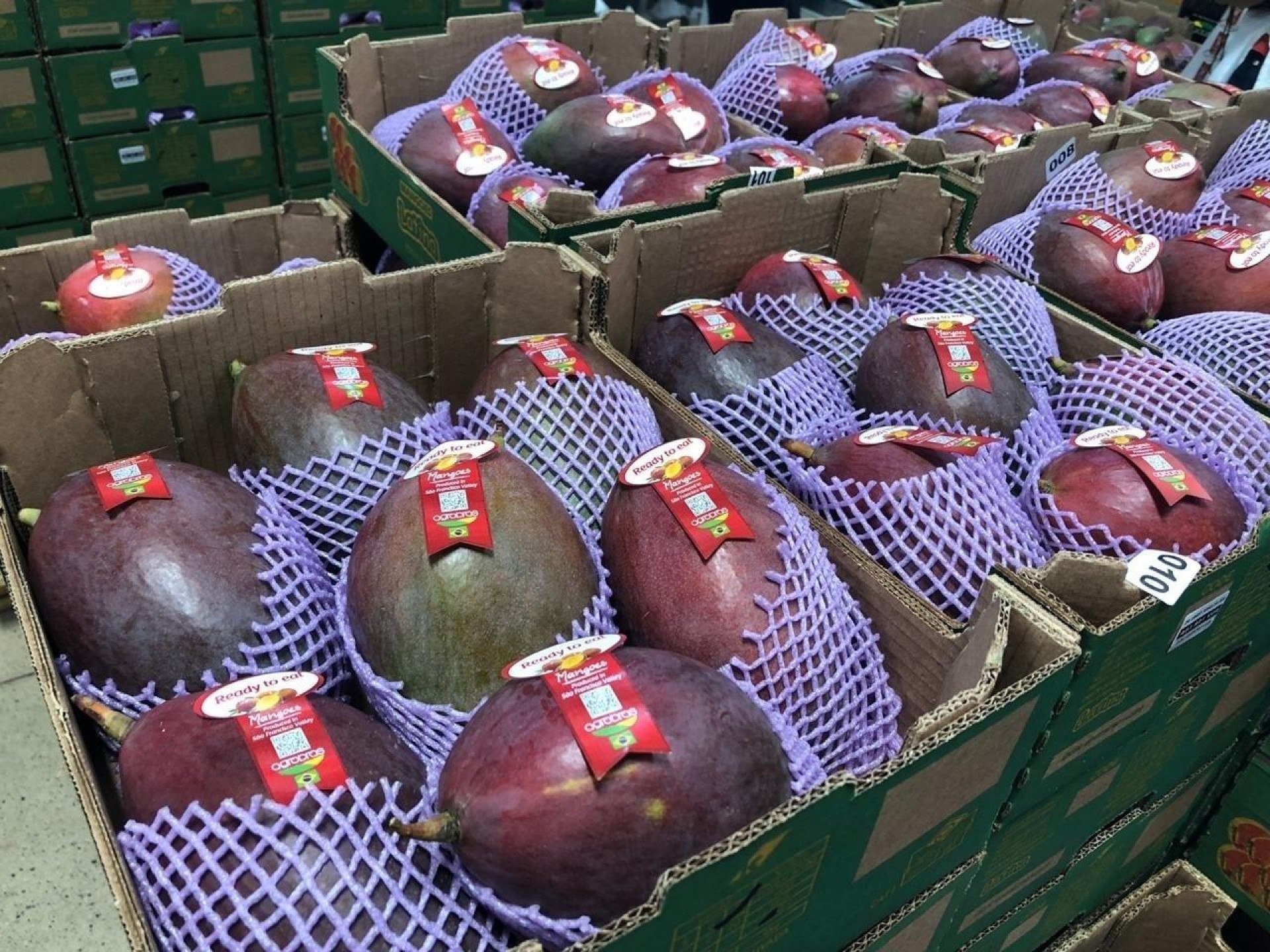 Pernambuco também precisa agir diante da pressão tarifária americana
