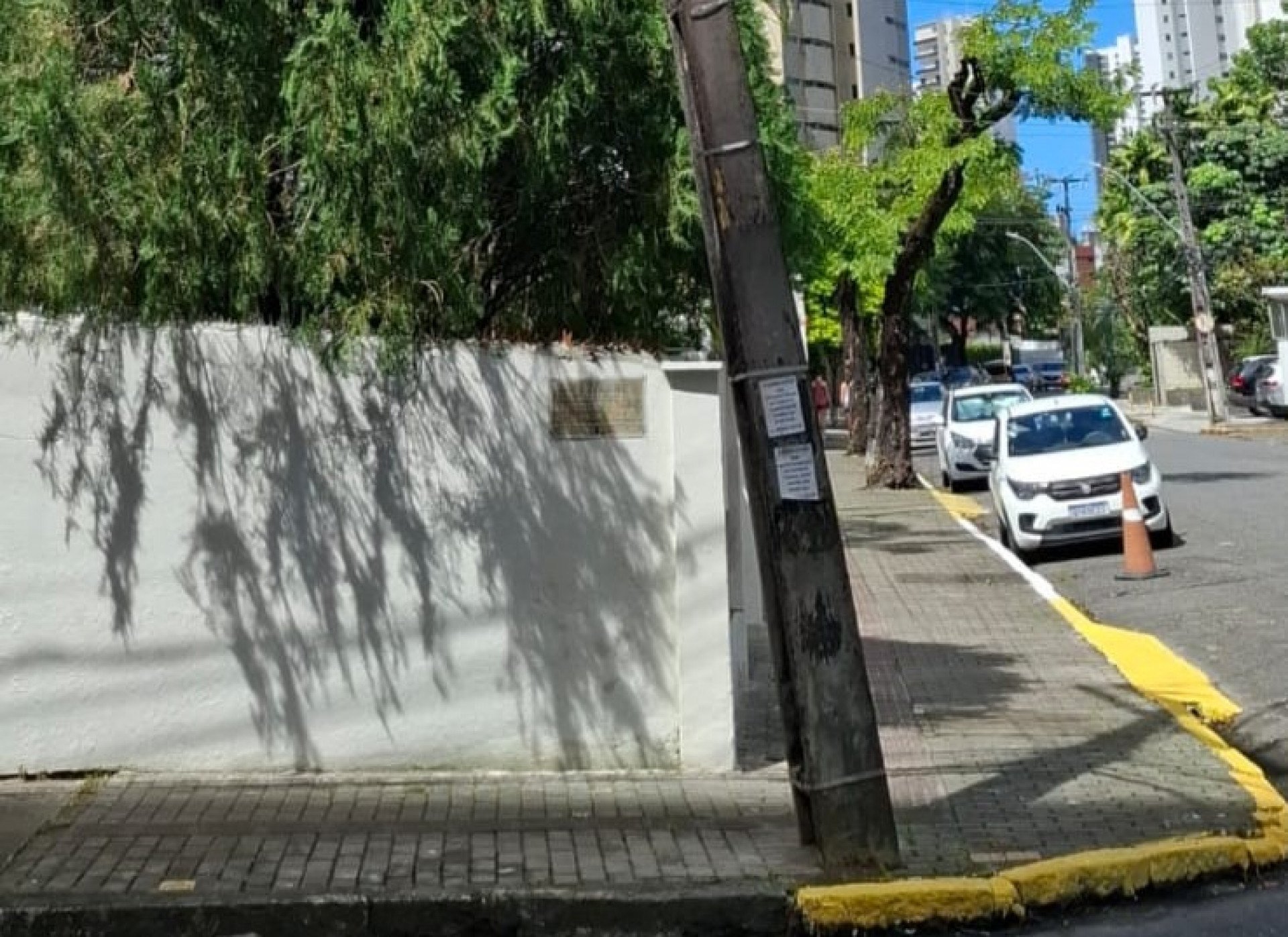 Foto da capa: Voz do Leitor