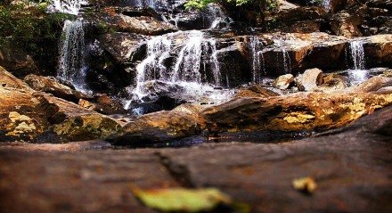 Área de Proteção Ambiental Roncador, em Bananeiras (PB).